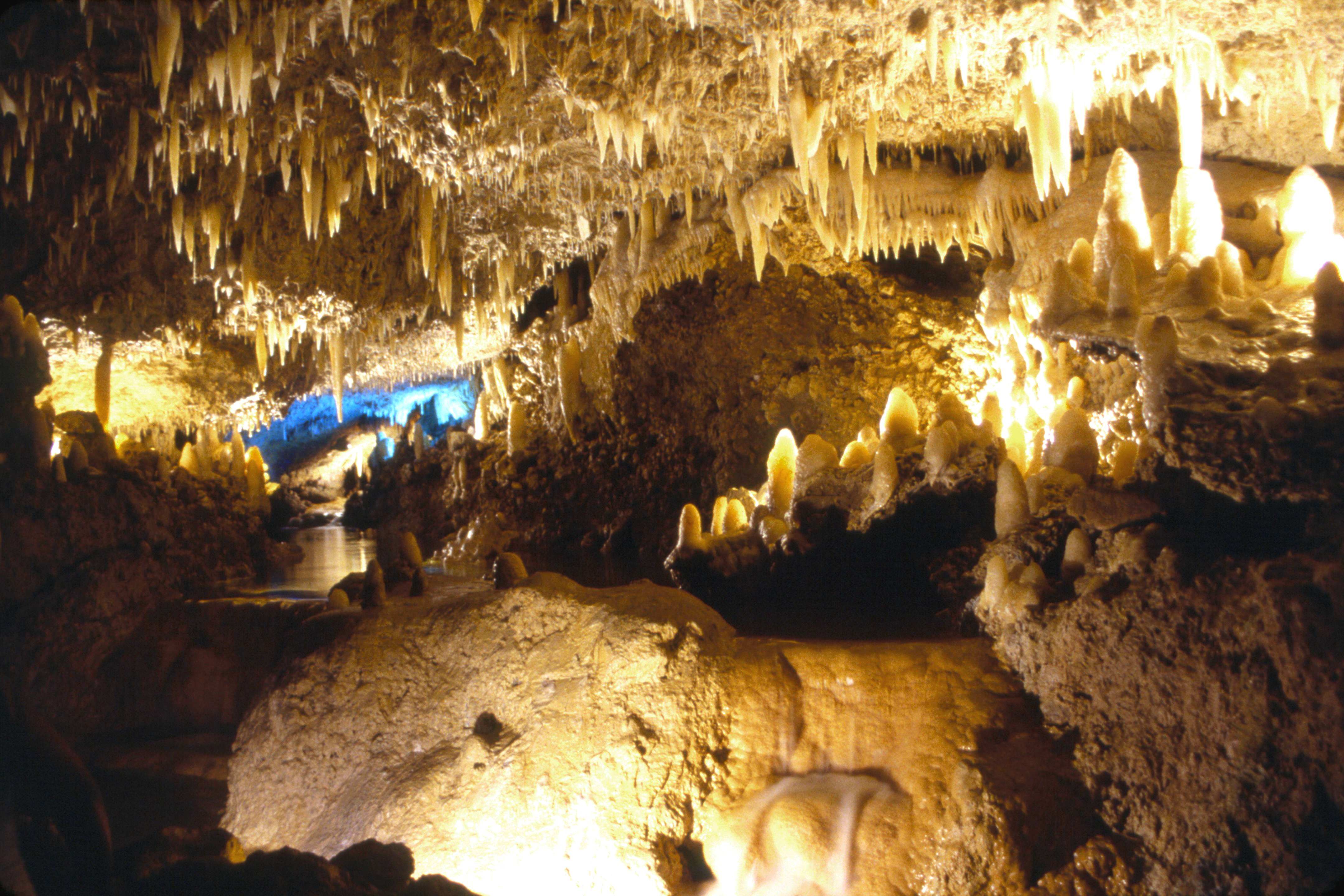 Harison's Cave – atemberaubende Tropfsteinhöhle mit Bächen und Wasserbecken