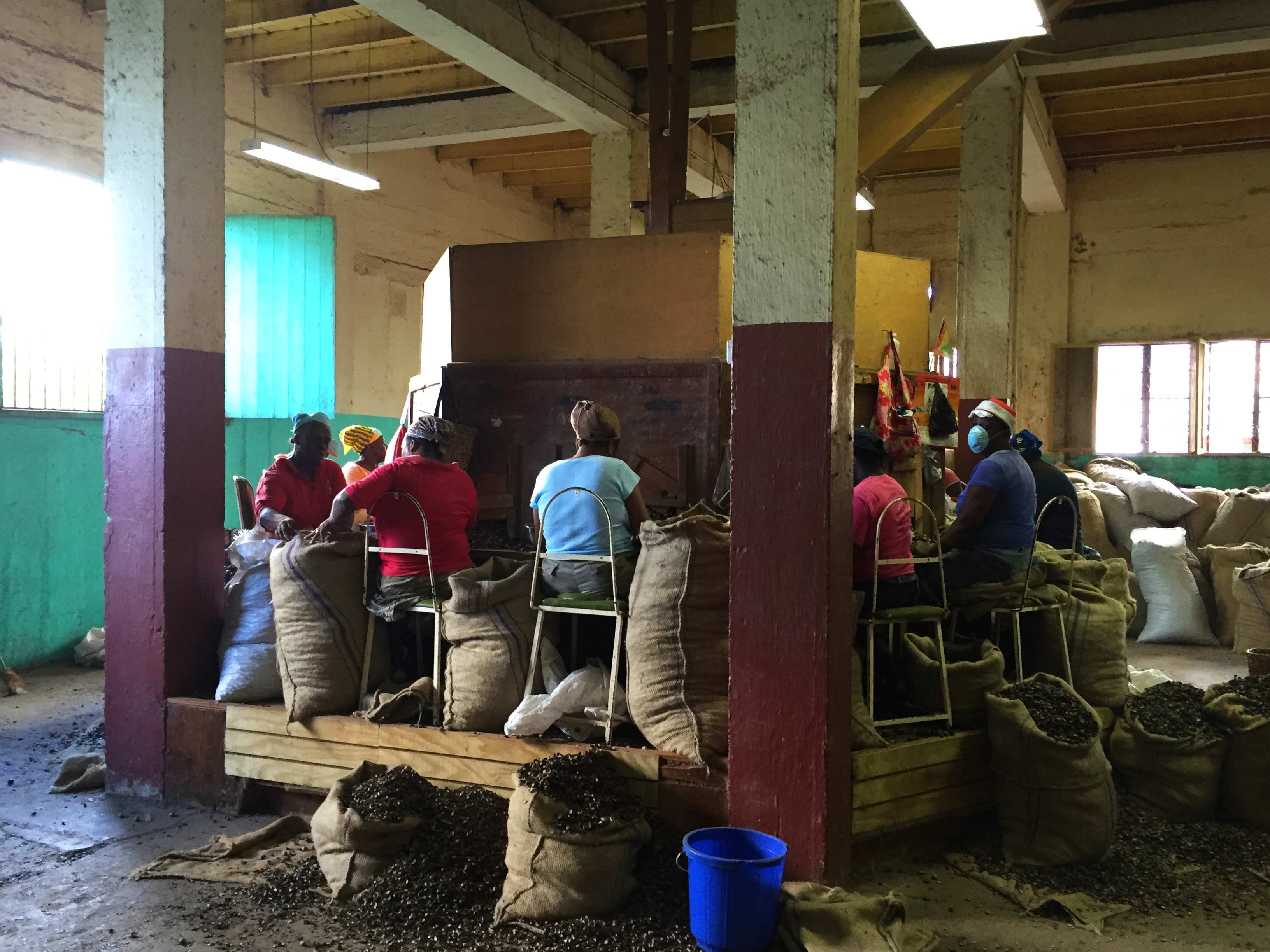 Arbeiter in einer Muskatnussfabrik, Insel Grenada