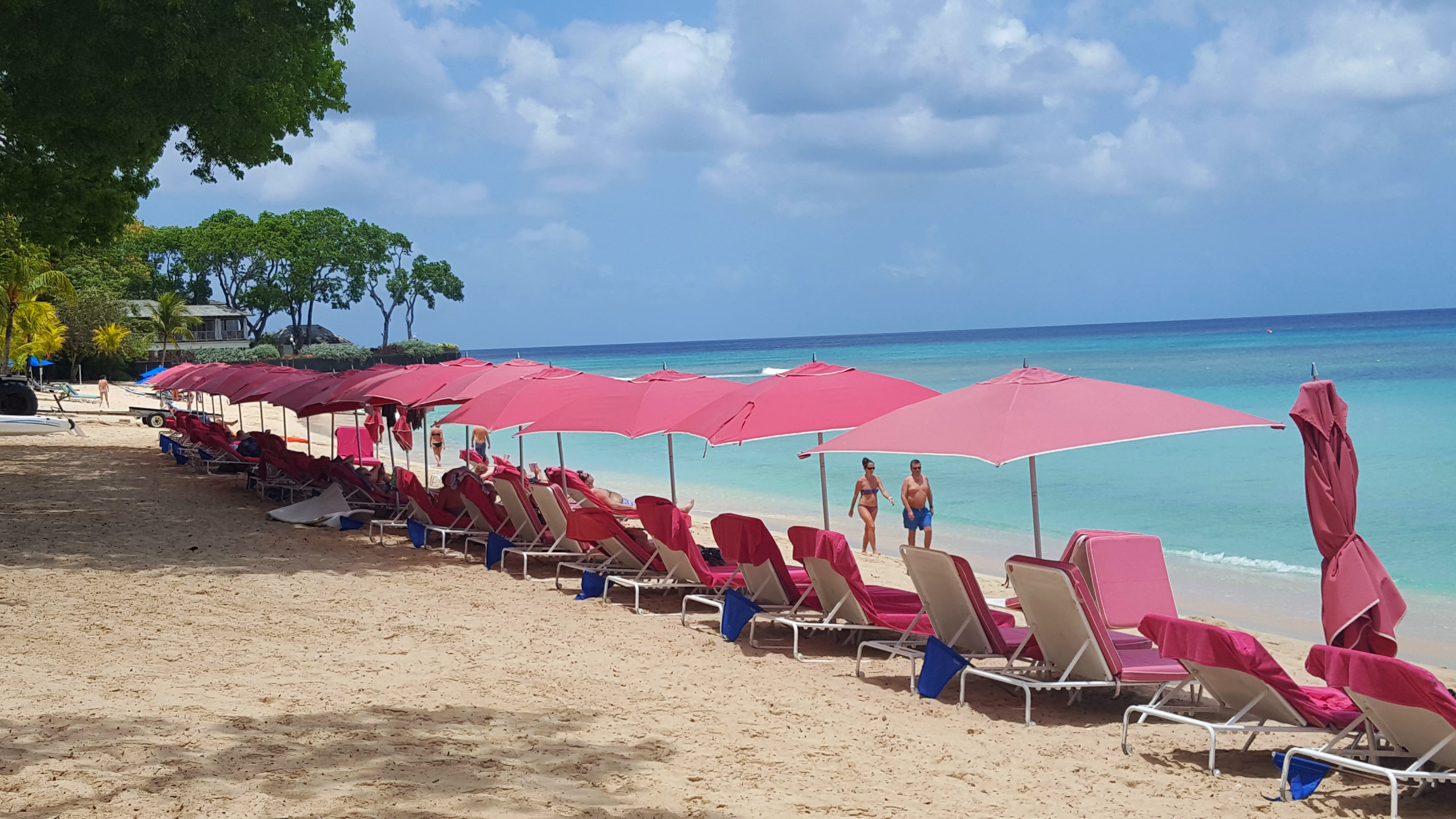 Hier liegt man in der ersten Reihe - am traumhaften Strand des Sandy Lane Resorts