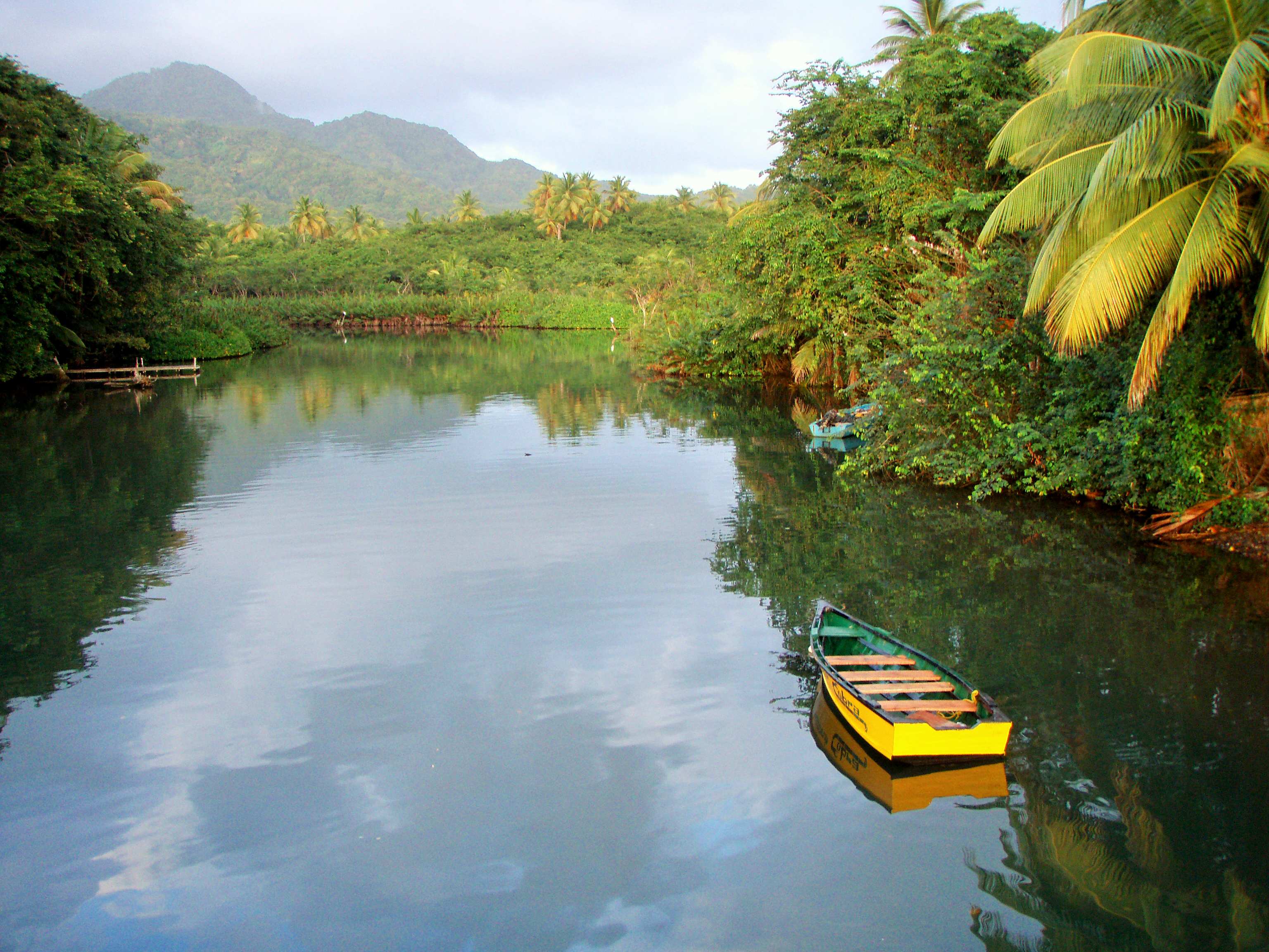 Mit dem Boot in den Dschungel - Indian River