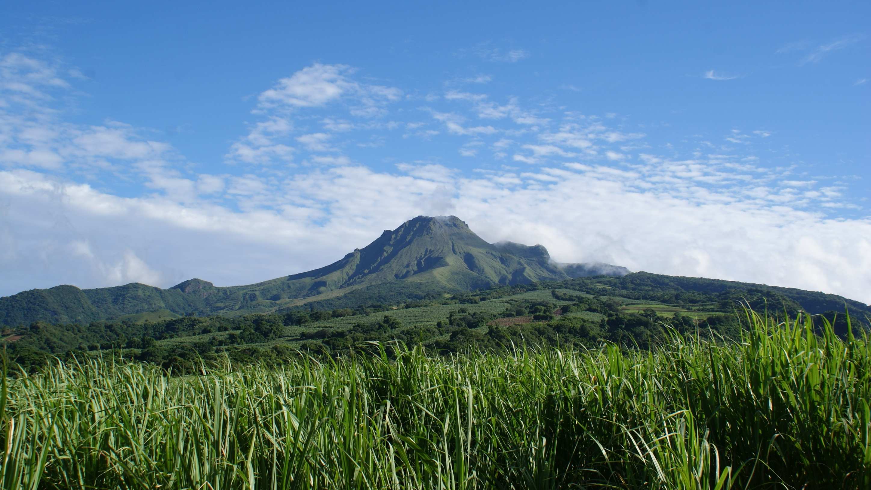 Blick  auf den  Vulkan Montagne Pelée, Insel Martinique