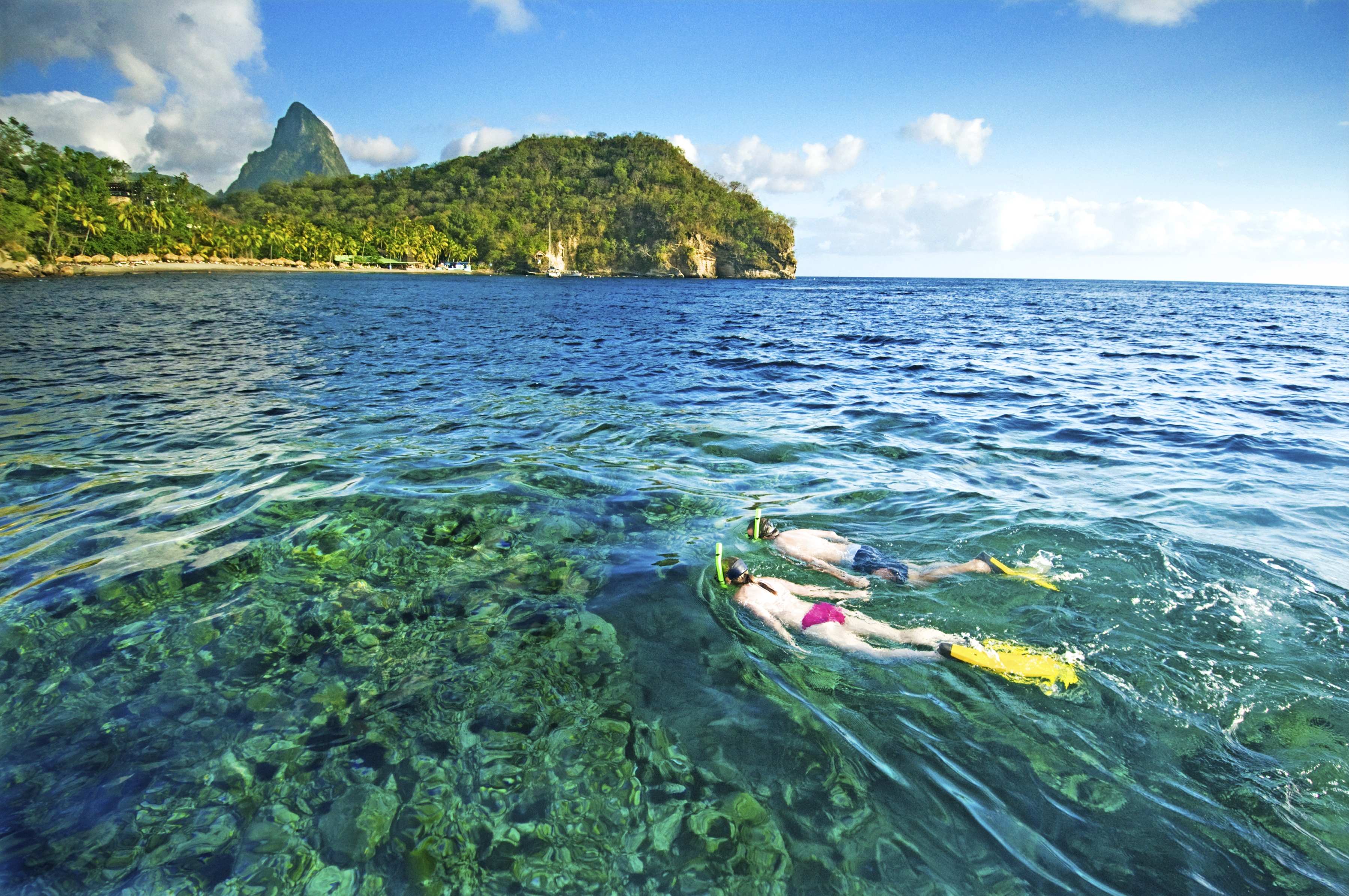 Artenreiche Unterwasserwelt der Insel Saint Lucia mit dem Schnorchel erkunden.